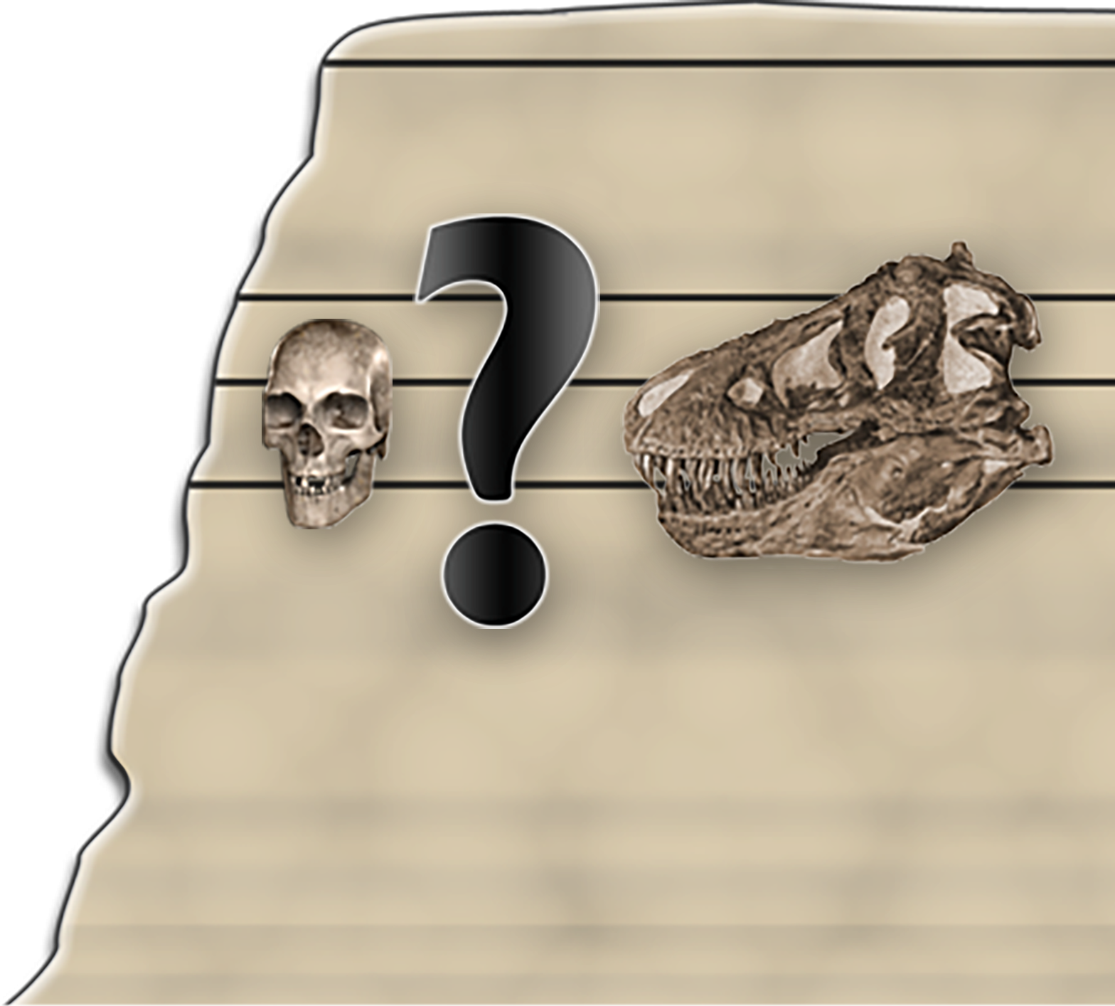Cross section illustration of a rock formation with horizontal lines marking different layers at various depths. A question mark between a modern human skull and a dinosaur skull are all above the same layers.