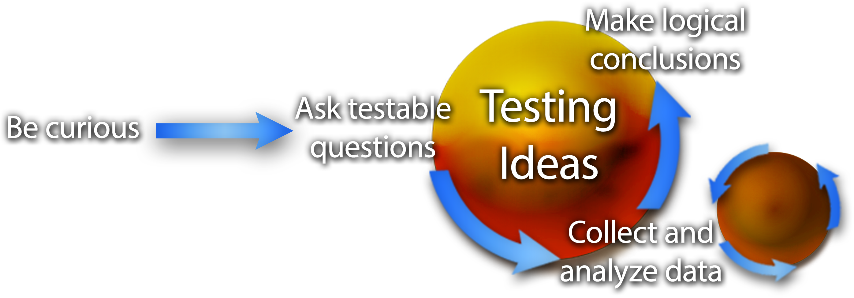The words Be curious followed by a blue arrow pointing right to a circle labeled Testing Ideas. Around the circle, the words Ask testable questions with a blue arrow pointing to a smaller tangential circle with 3 circular arrows labeled Collect and analyze data with a blue arrow pointing to Make logical conclusions.
