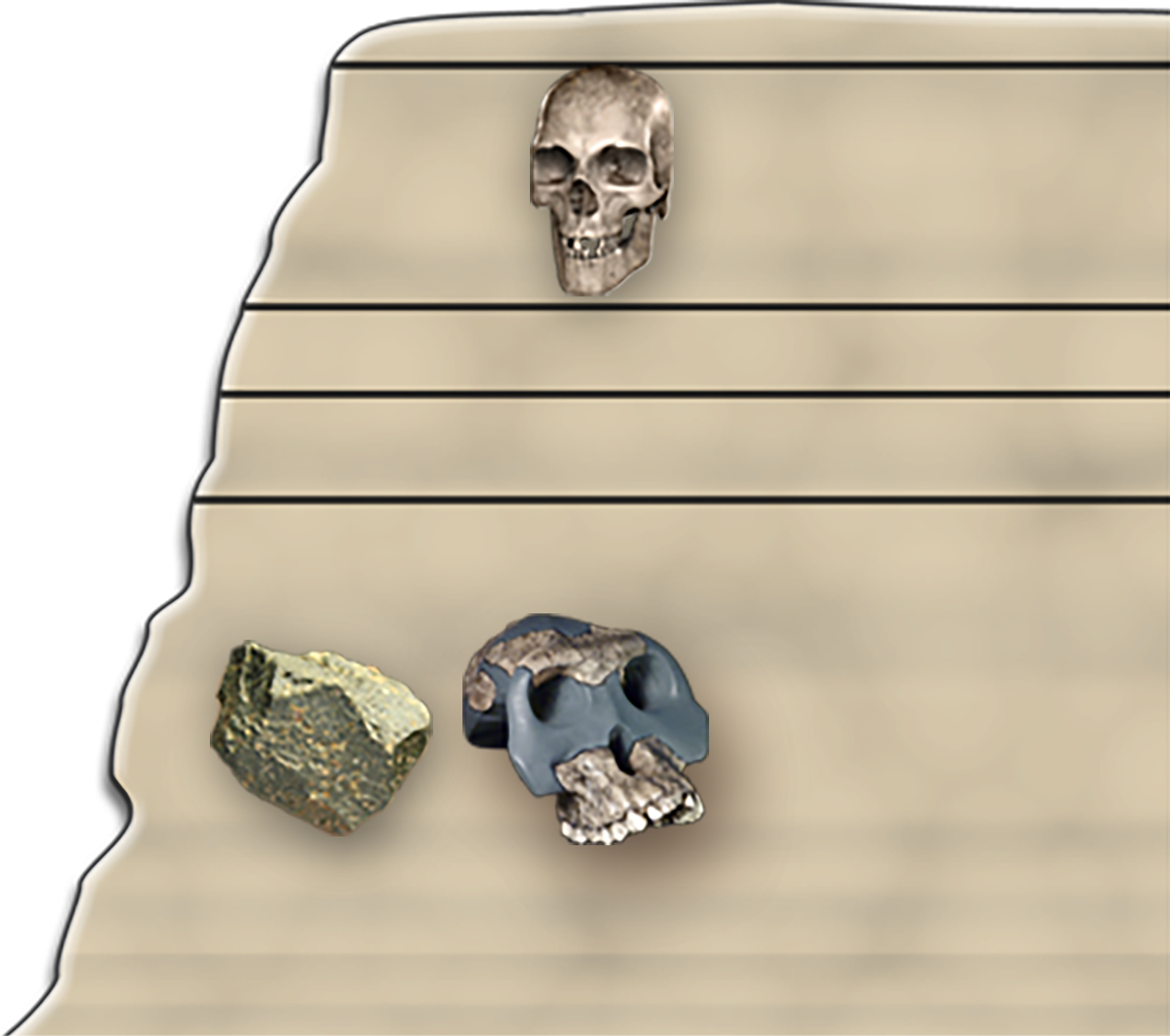 Cross section illustration of a rock formation with horizontal lines marking different layers at various depths. A modern human skull is close to the top. Below it in a deeper layer is a stone tool next to an early human skull with a partial jaw.