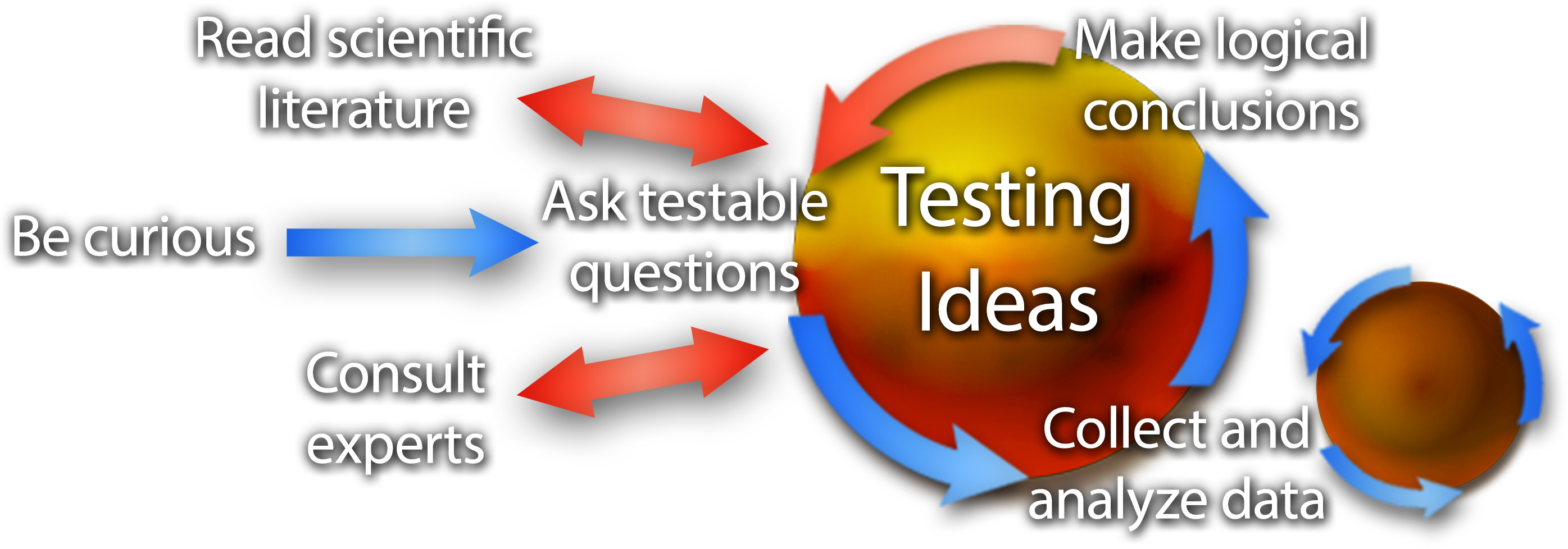 The words Be curious followed by a blue arrow pointing right to a circle labeled Testing Ideas. Around the circle, the words Ask testable questions with a blue arrow pointing to a smaller tangential circle with 3 circular arrows labeled Collect and analyze data with a blue arrow pointing to Make logical conclusions then a red arrow pointing back to Ask testable questions. There, a set of double red arrows point from Testing Ideas to Read scientific literature and Consult experts.