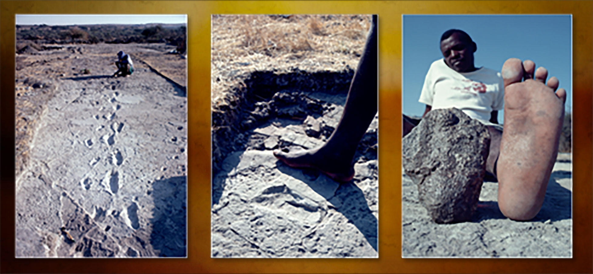 A triptych of photos, one showing fossilized human footprints and two showing modern humans comparing their feet to the fossils.