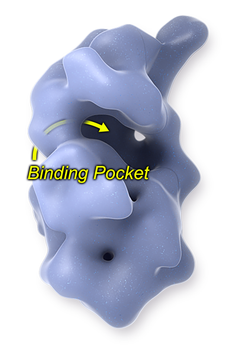 A yellow arrow through the irregular shape of the BCR-ABL protein labeled binding pocket.