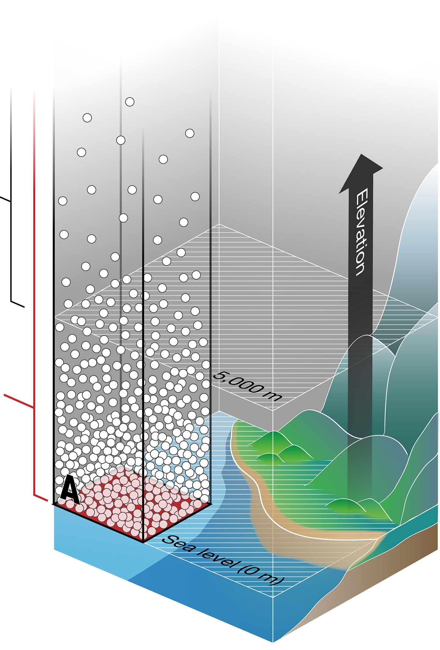 Area A (highlighted) starts at sea level 0 meters and contains densely packed gas molecules at the bottom becoming less dense towards the top.