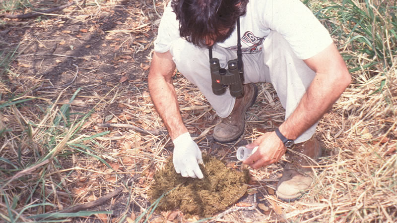 Collecting Elephant Dung Samples