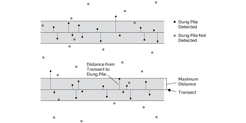 diagram of line transect