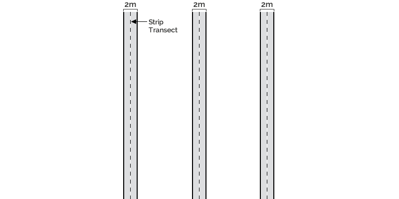 diagram of recces method