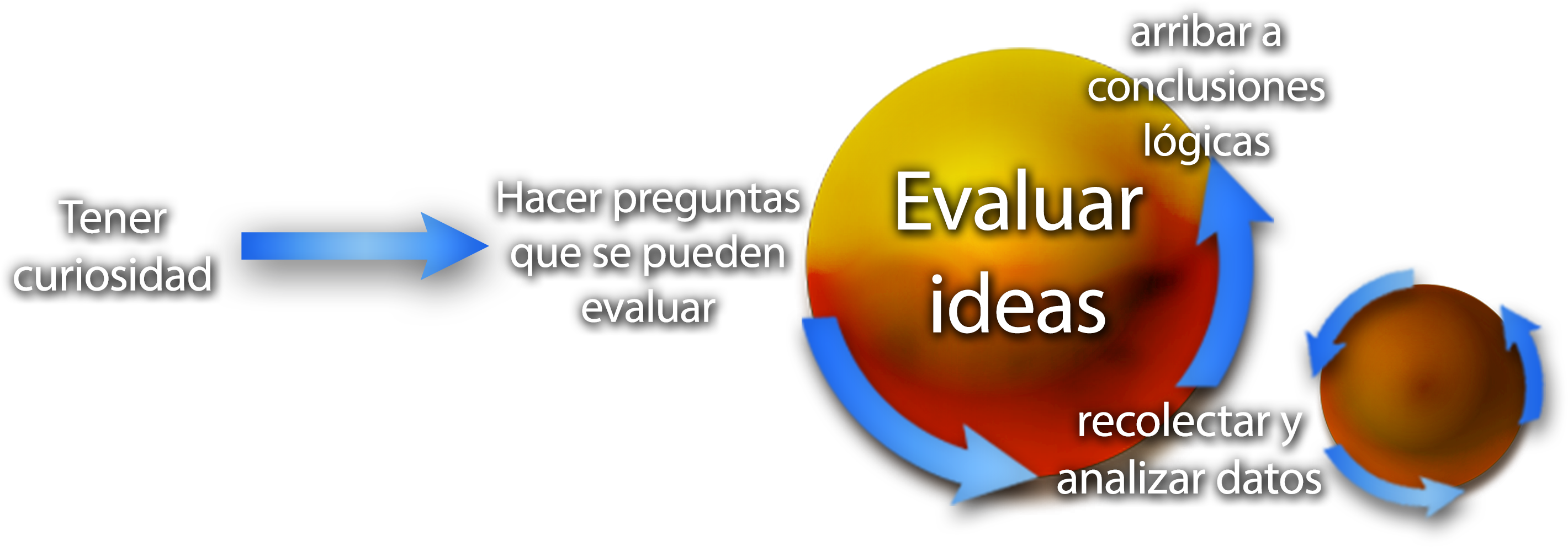 La frase Tener curiosidad seguida de una flecha azul que apunta a la derecha hacia un círculo etiquetado como Evaluar ideas. A un lado del círculo, la frase Hacer preguntas que se pueden evaluar con una flecha azul apuntando a un círculo tangencial más pequeño con 3 flechas circulares etiquetado recolectar y analizar datos con una flecha azul apuntando a arribar a conclusiones lógicas.