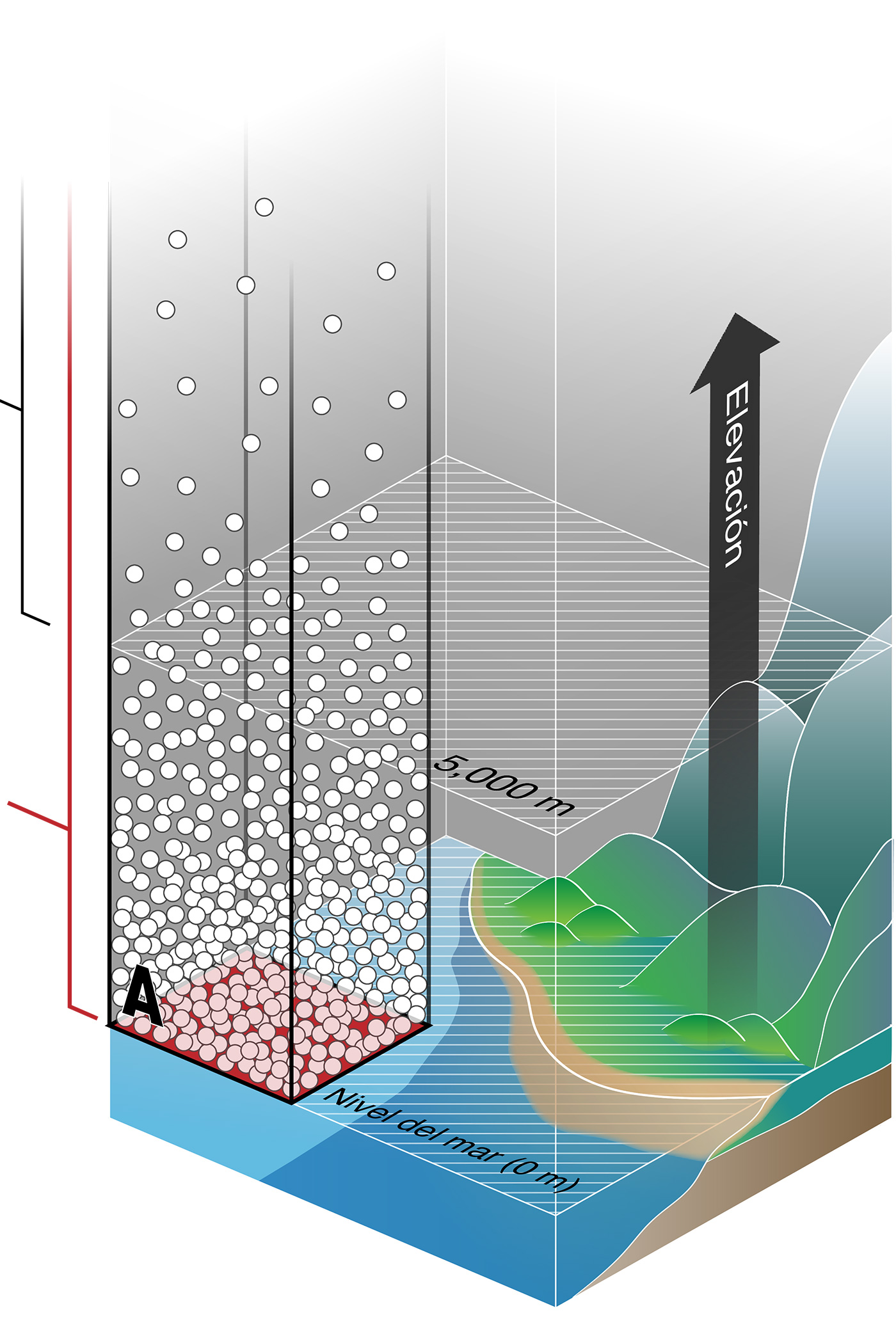 El área A (resaltada) comienza en 0 metros sobre el nivel del mar y contiene moléculas de gas densamente compactadas en la parte inferior, que se vuelven menos densas hacia la parte superior.