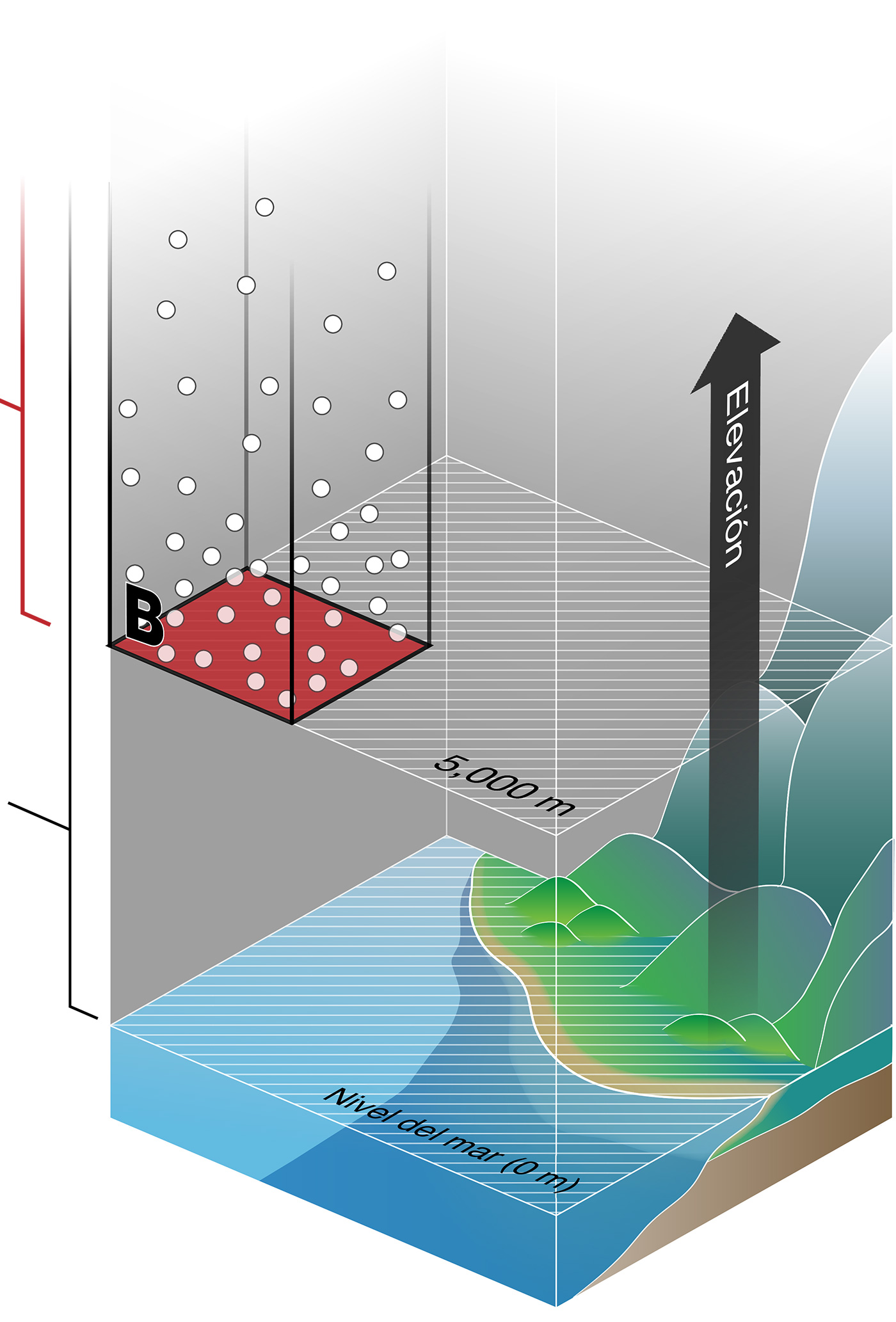 El área B (resaltada) comienza en 5,000 metros y contiene moléculas de gas poco compactas en la parte inferior que se hacen menos densas hacia la parte superior.