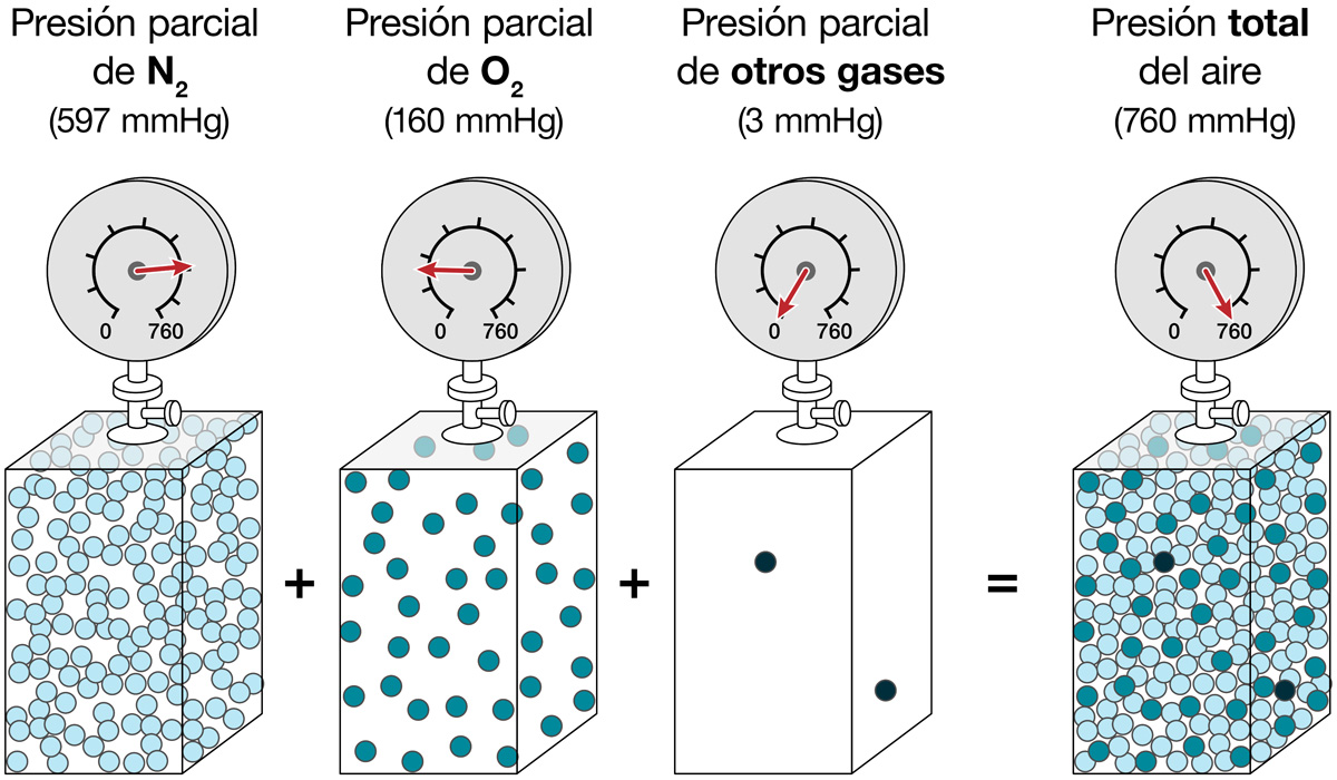 Los gases en contenedores a presión con manómetros representan la composición de la presión total del aire.