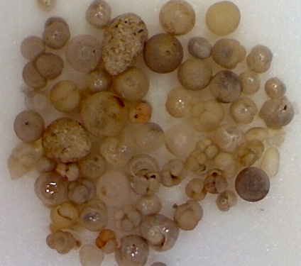 Una colección de pequeñas rocas de diversos tamaños, colores y formas.