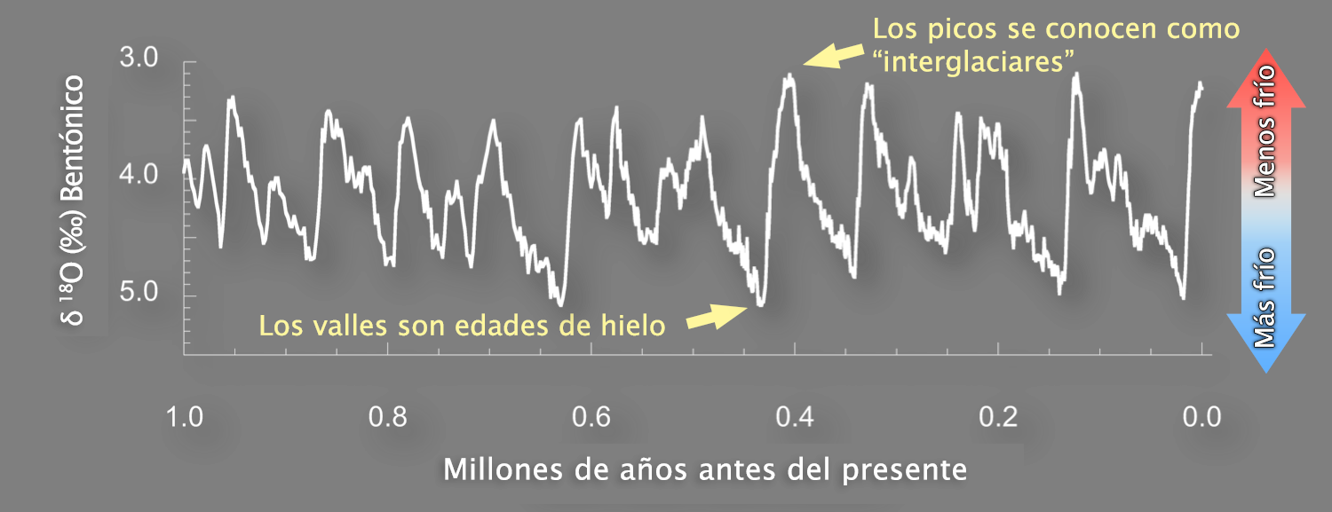 Gráfica de la proporción bentónica de isótopos de oxígeno de 3.0 a 5.0 durante el último millón de años. Una flecha doble a la derecha de la gráfica indica que los números más bajos son más cálidos y los más altos, más fríos. Los datos muestran un patrón cíclico a lo largo de decenas de miles de años, desde mínimos que indican glaciaciones hasta máximos que indican interglaciares.