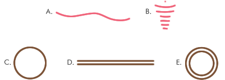 illustration of genome types