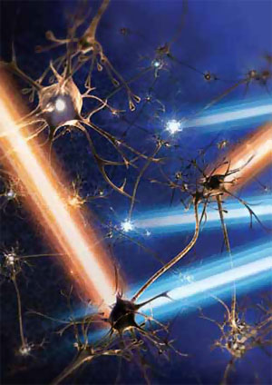 Artistic rendering of neurons