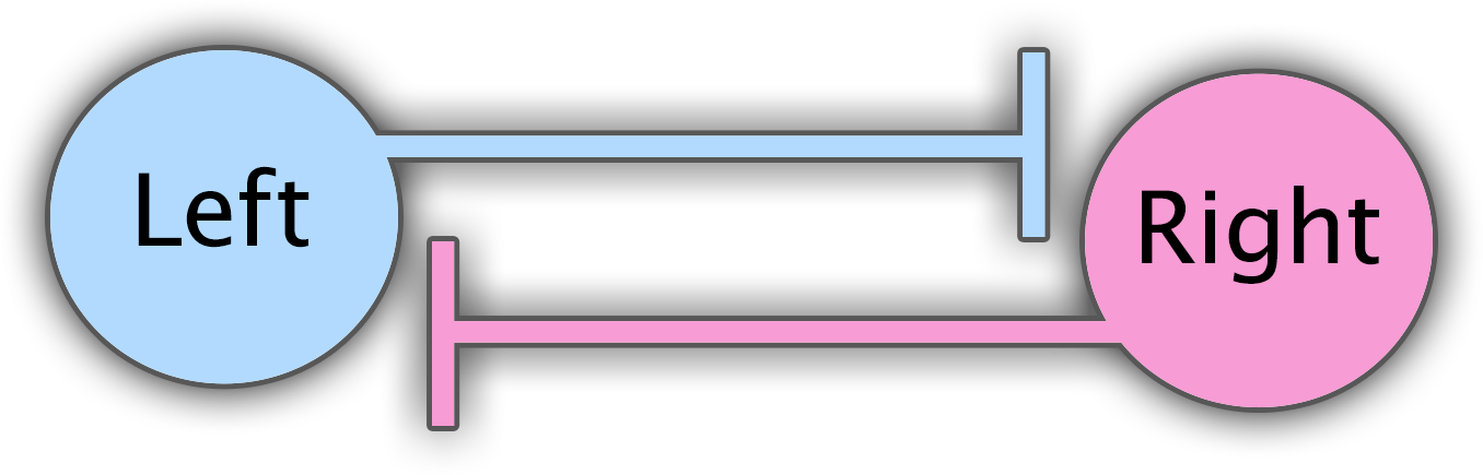 Mutual crossed-inhibition diagram.