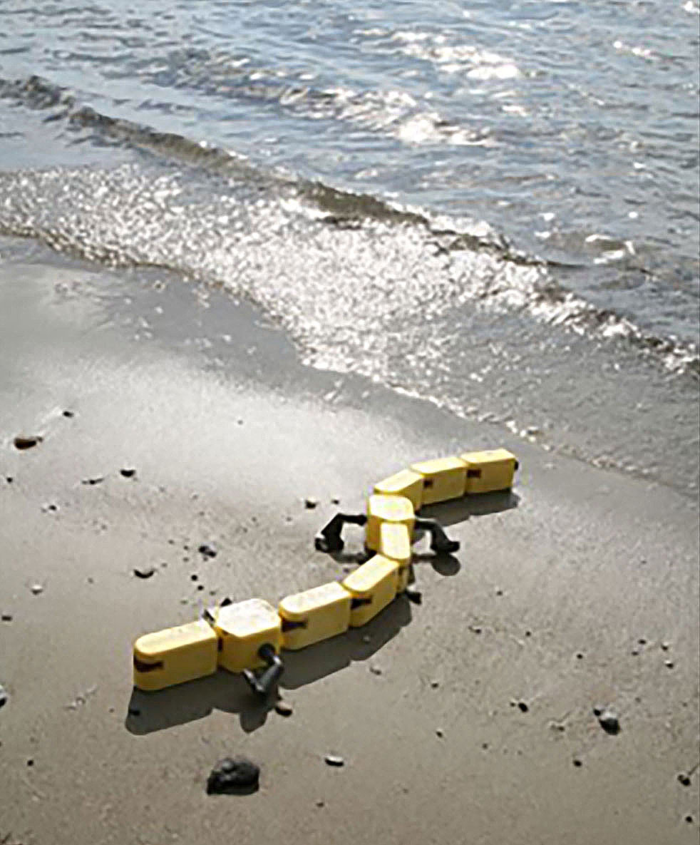 Snakelike robot with legs walking toward the water on a beach.