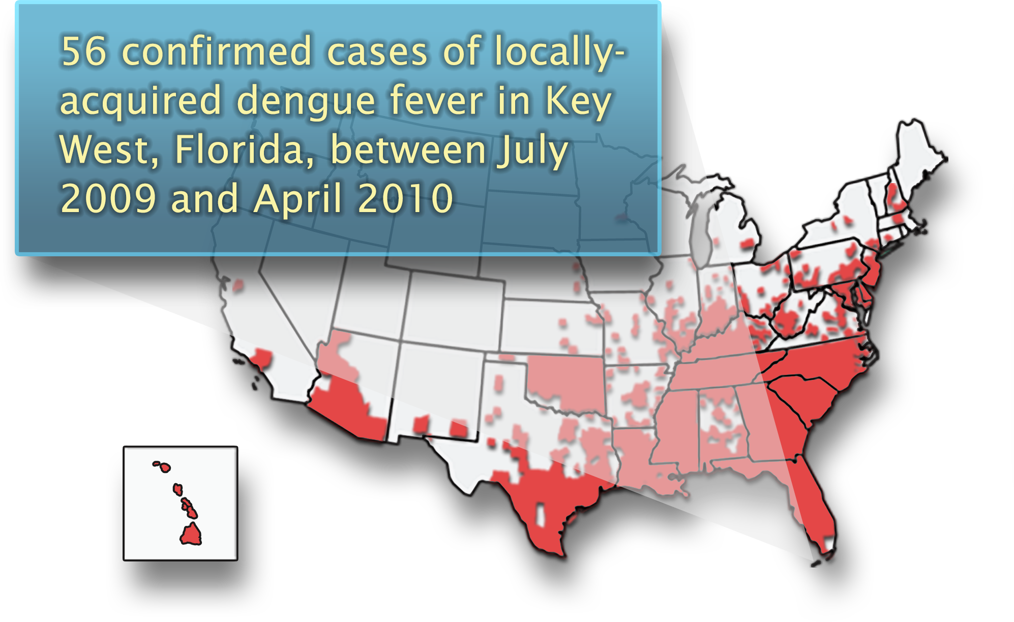 A map of the continental United States and Hawaii with areas where dengue-carrying mosquitoes are found marked in red include the southern U.S., gulf coast, southeast Arizona and Oklahoma, A cutaway pointing at the southern tip of Florida reads 56 confirmed cases of locally acquired dengue fever in Key West, Florida, between July 2009 and April 2010.