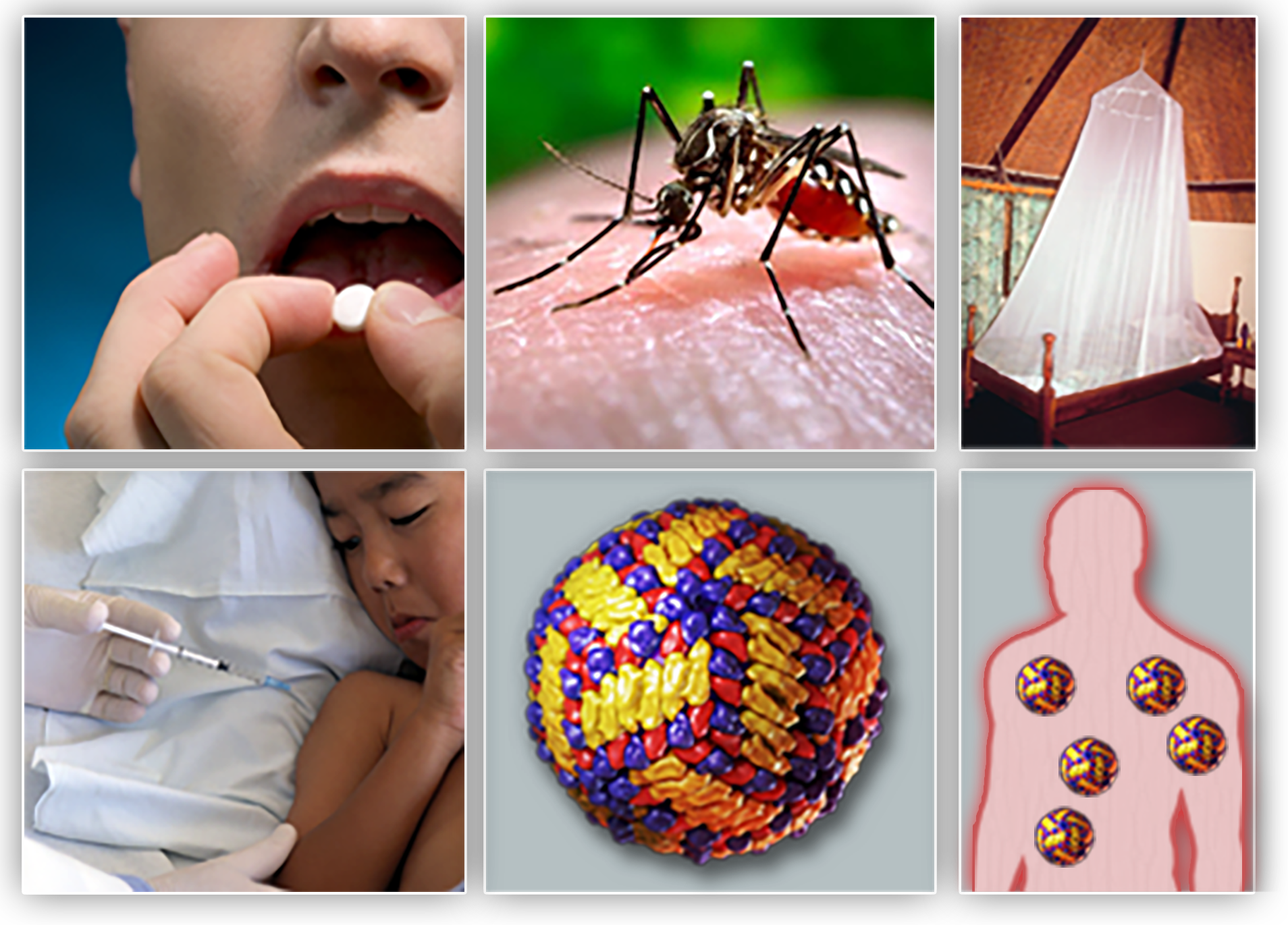 A person taking a pill, a mosquito biting a human, a mosquito net, a child receiving an injection, a dengue virus, and a human silhouette with five dengue virus inside.