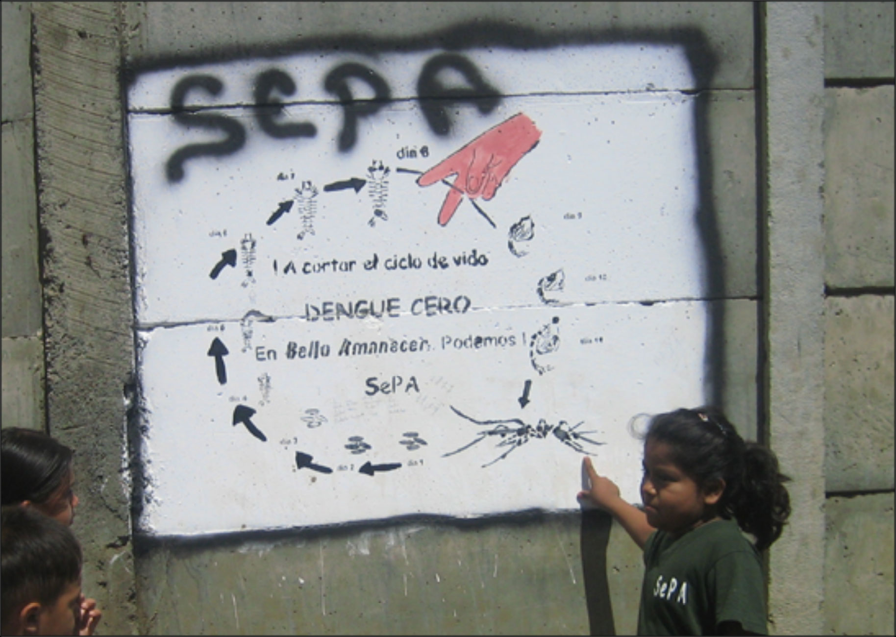 Children reading a sign on a wall that shows the life cycle of the dengue mosquito.