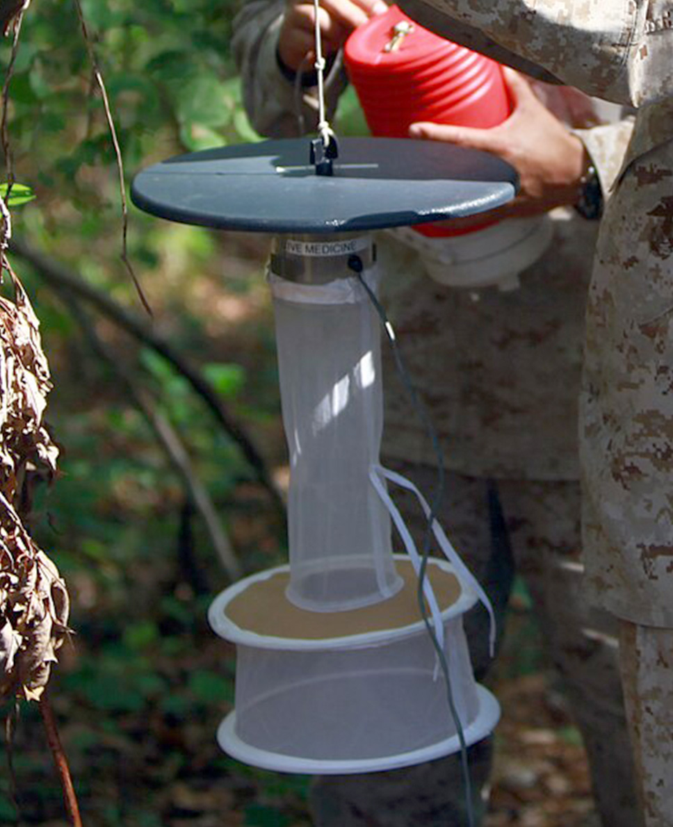 A person installing a mosquito trap.