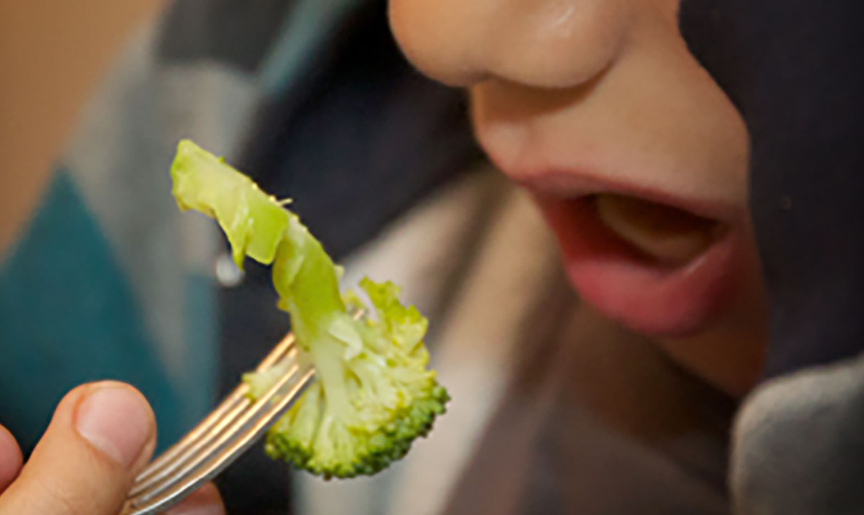 A person about to eat a piece of broccoli.