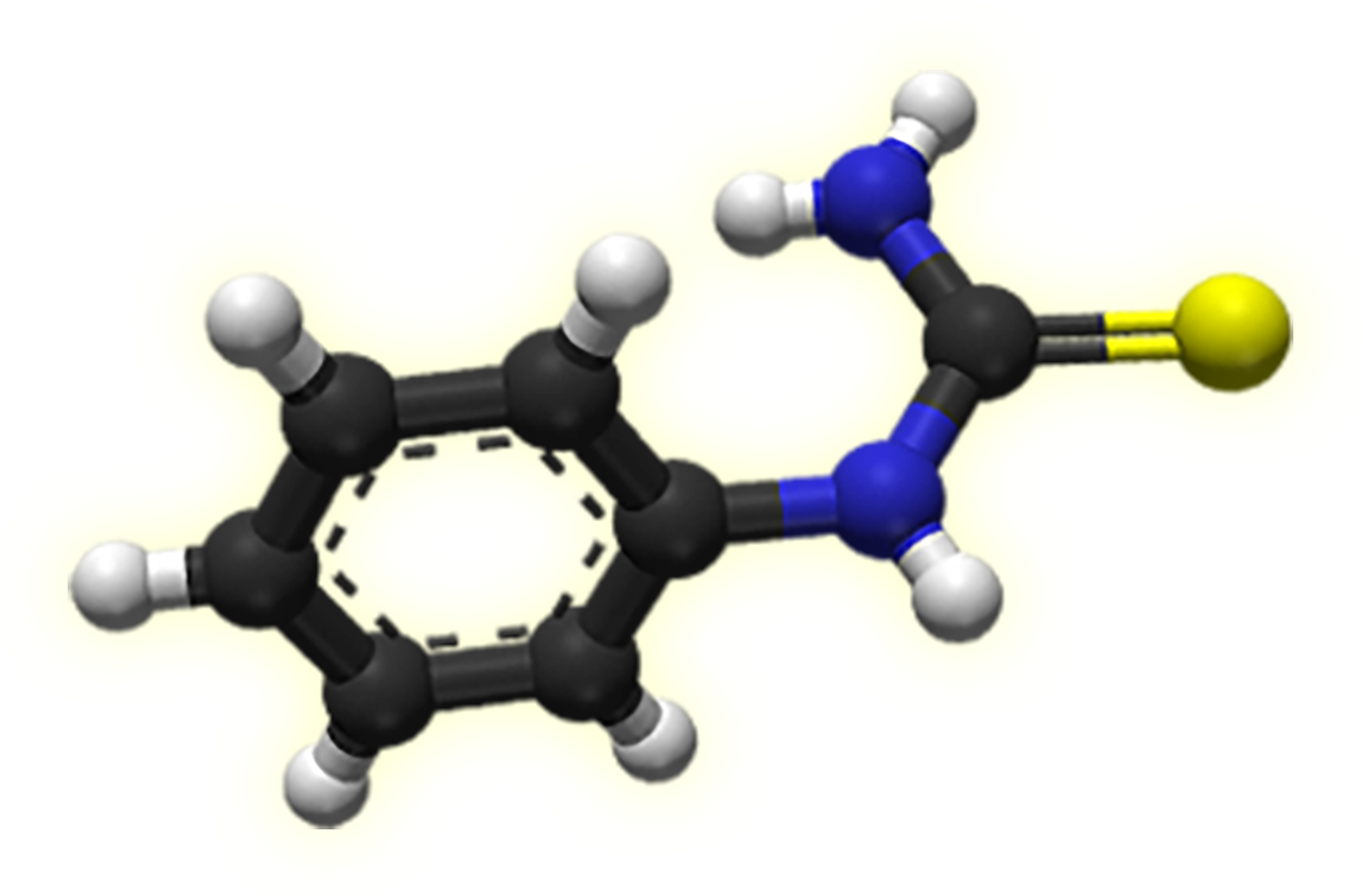A ball and stick figure of phenylthiocarbamide (PTC) molecule.