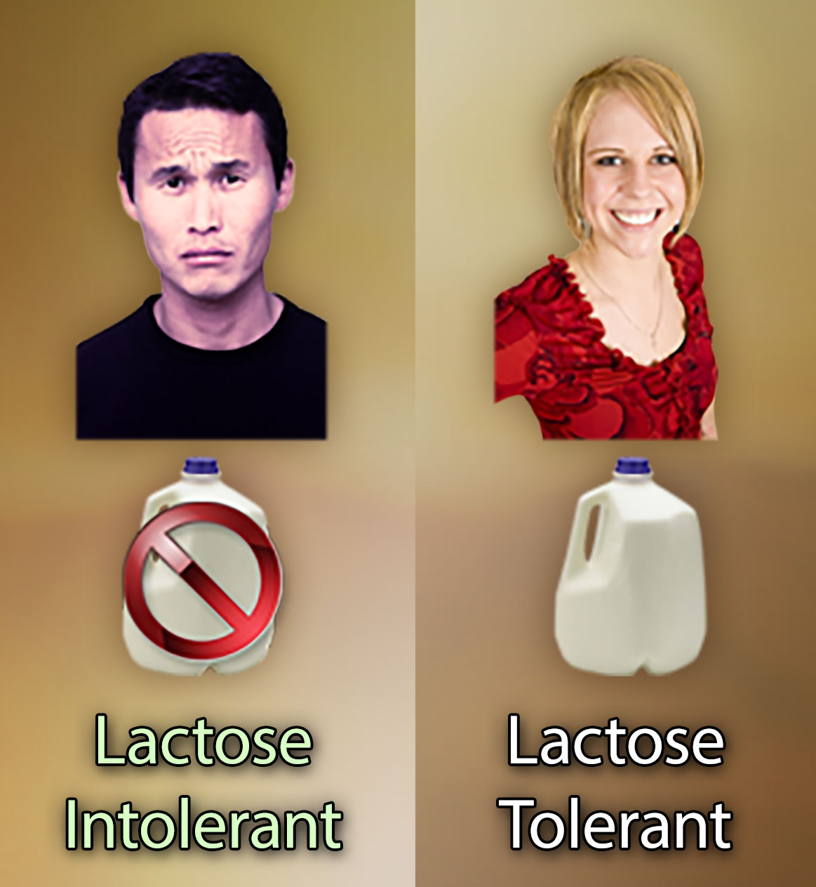 A man with a sad face and a crossed-out gallon of milk labeled Lactose Intolerant and a woman with a happy face and a gallon of milk labeled Lactose tolerant.