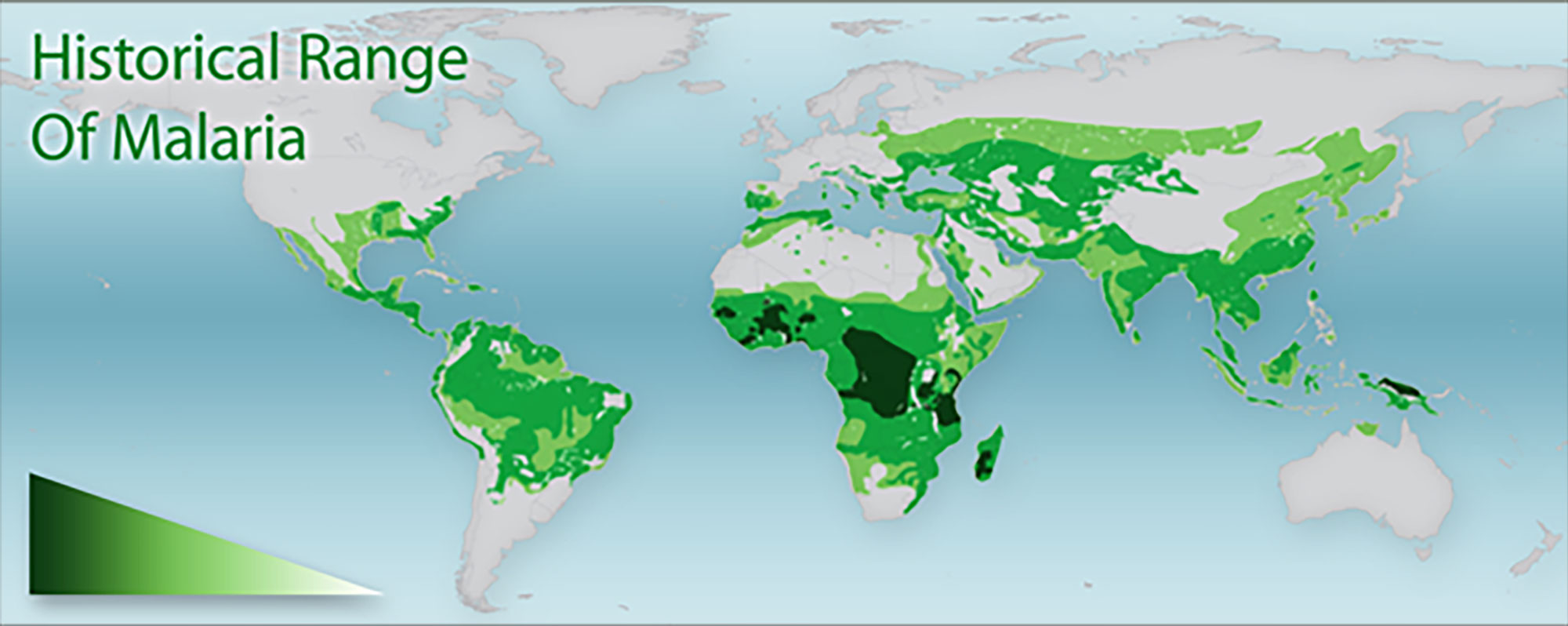 A heat map of the globe labeled Historical Range of Malaria indicating that malaria is highly concentrated in Africa. It is also prevalent throughout most of Asia and the southern United States, Central America, and South America.