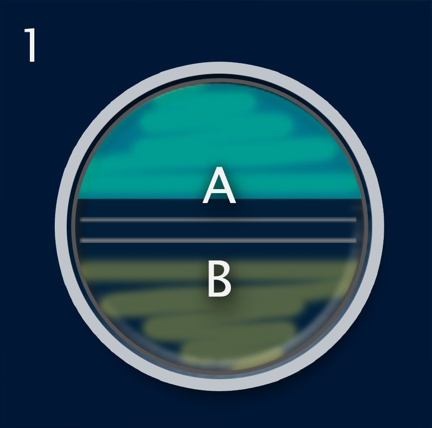 A divided dish with the sides marked A and B. The cells on side A are bioluminescent; side B is not.