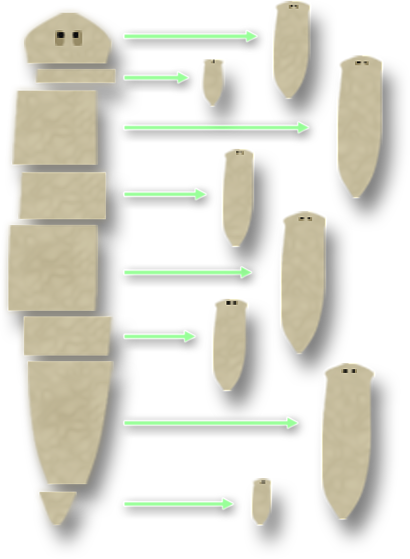 Arrows pointing from each of the 8 segments of planaria to another full body planaria.