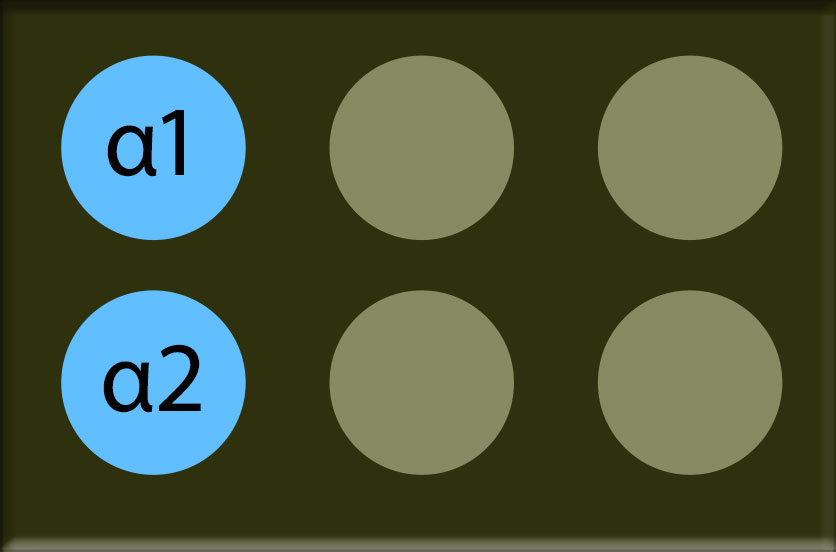 A 6-spot Virochip with sequences from conserved regions alpha 1 and alpha 2 marked.