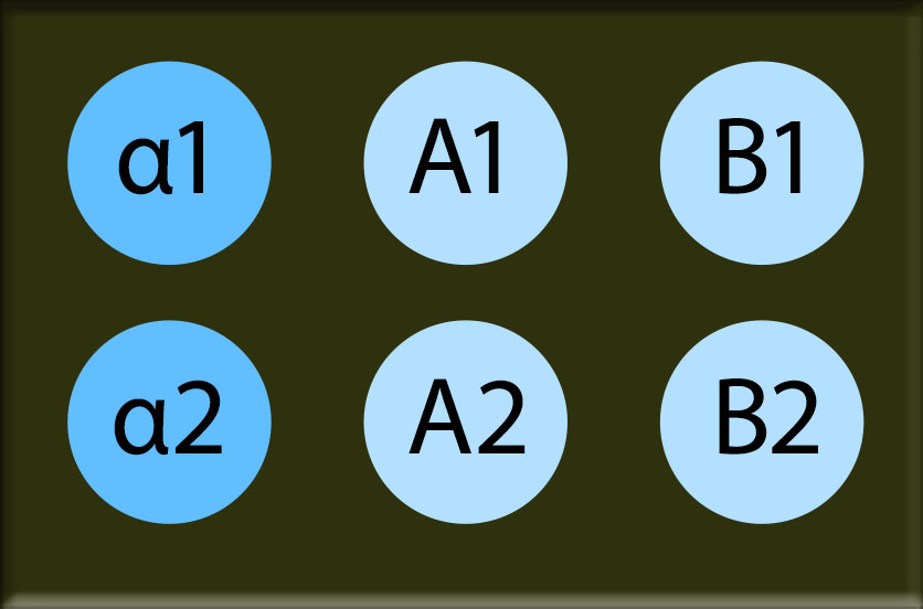 A 6-spot Virochip with two blue spots marked alpha 1 and alpha 2 and four light blue spots marked A-1, A-2, B-1, and B-2.