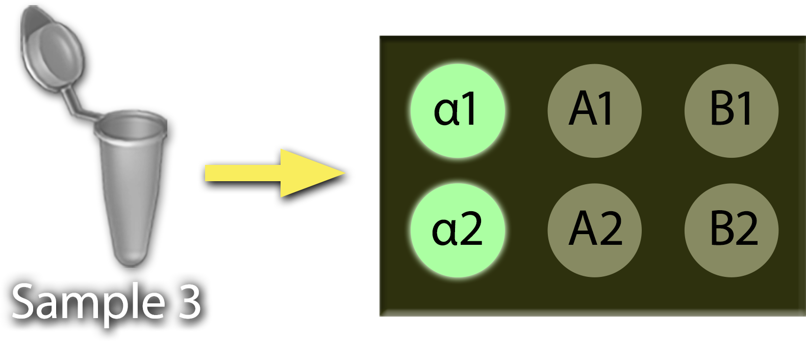 An open tube marked Sample 3 with an arrow that points to a 6-spot Virochip with bright green spots marked alpha 1 and alpha 2, and khaki spots labeled A-1, A-2, B-1, and B-2.