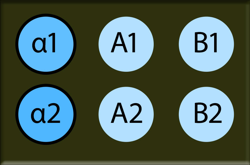 A 6-spot Virochip with two stacked blue spots on the left marked alpha 1 and alpha 2 and four light blue spots marked A-1, A-2, B-1, and B-2.