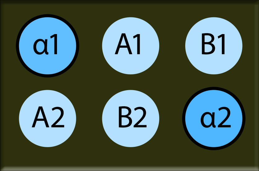 A 6-spot Virochip with two blue spots on opposite corners marked alpha 1 and alpha 2 and four light blue spots marked A-1, A-2, B-1, and B-2.