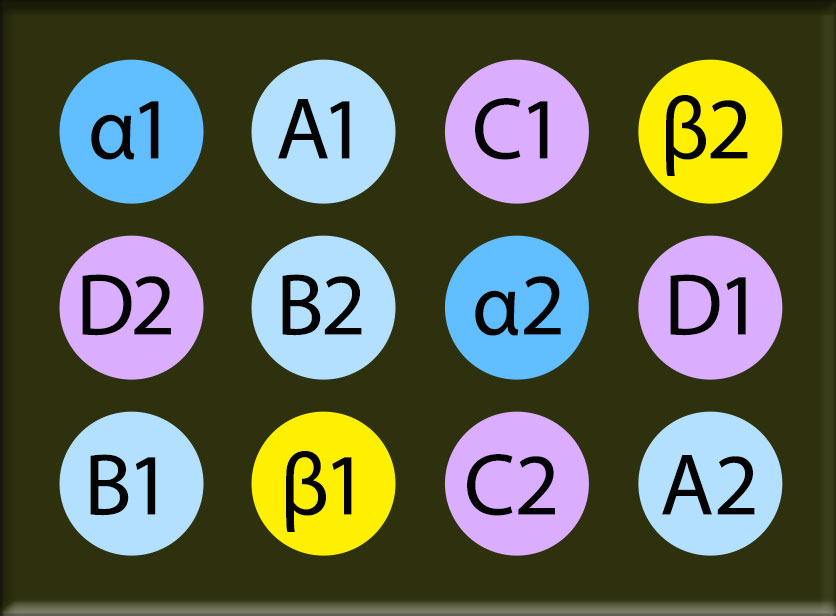 A 12-spot Virochip with two blue spots marked alpha 1 and alpha 2, four light blue spots marked A-1, A-2, B-1, and B-2, two yellow spots marked beta 1 and beta 2, and four purple spots marked C-1, C-2, D-1, and D-2.