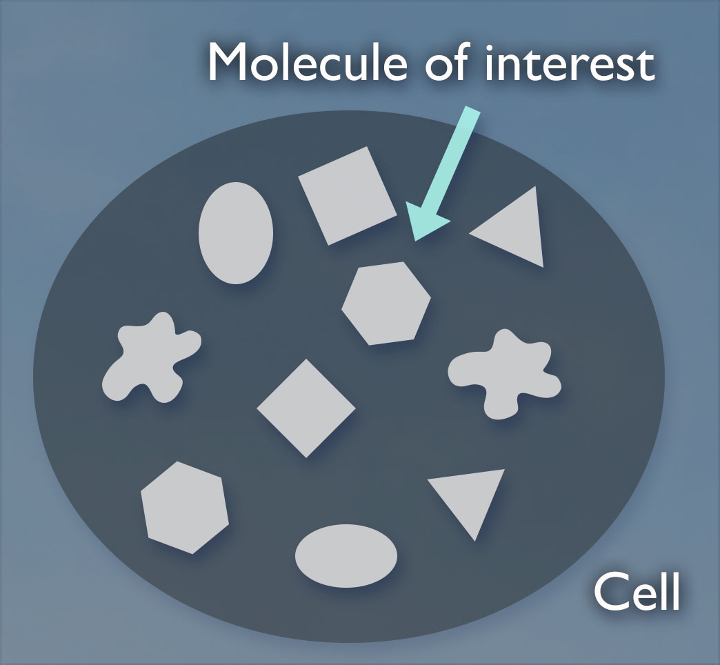 A circle labeled cell contains 10 different shapes. An arrow labeled molecule of interest points to one of the shapes.