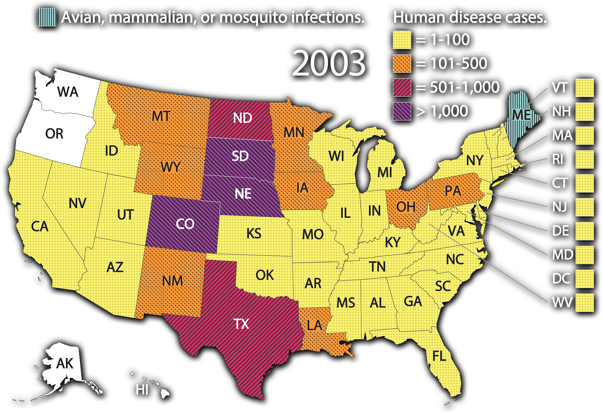 A color-coded map of the United States labeled 2003. A legend indicates that striped light blue marks states with avian, mammalian, or mosquito infections and includes Maine. Dotted yellow marks states that had between 1 and 100 human disease cases which includes the majority of the states. Dotted orange is 101 to 500 cases. Cross-hatched red is 501 to 1000 cases and includes Texas and North Dakota. Cross-hatched purple is over 1000 cases and includes South Dakota, Nebraska and Colorado. The only states with no recorded infections are Washington, Oregon, Alaska, and Hawaii.