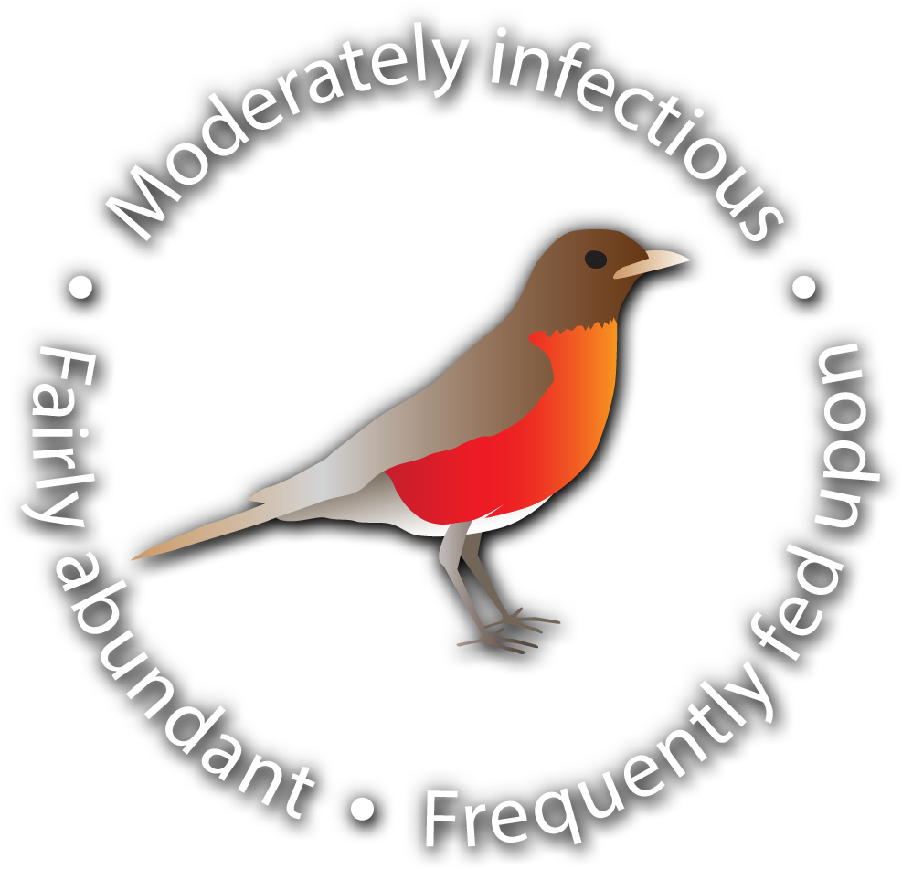 An illustration of a bird with the words moderately infectious, frequently fed upon, and fairly abundant.