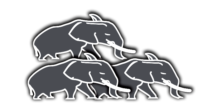 3 Tusked Elephants