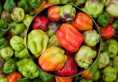 Red and green paprika peppers in a container surrounded by more peppers