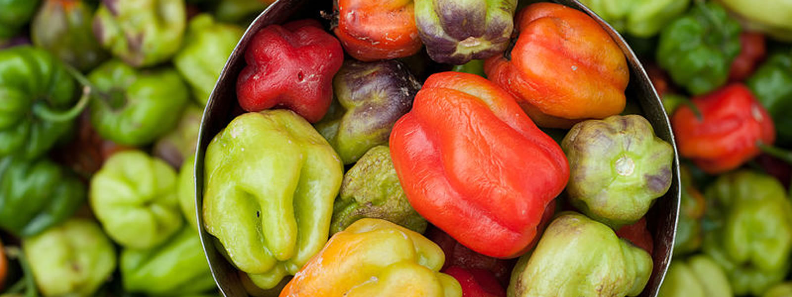 Red and green paprika peppers in a container surrounded by more peppers