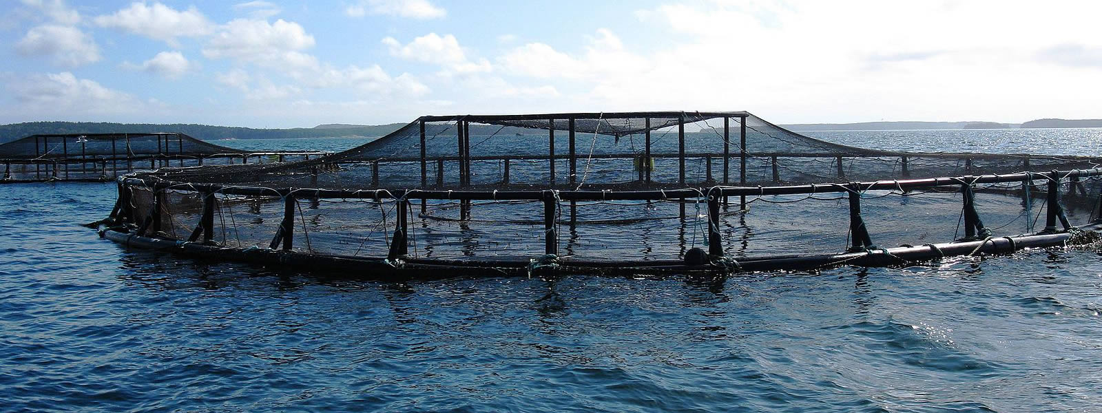 Two large netted enclosures sitting on a large body of water