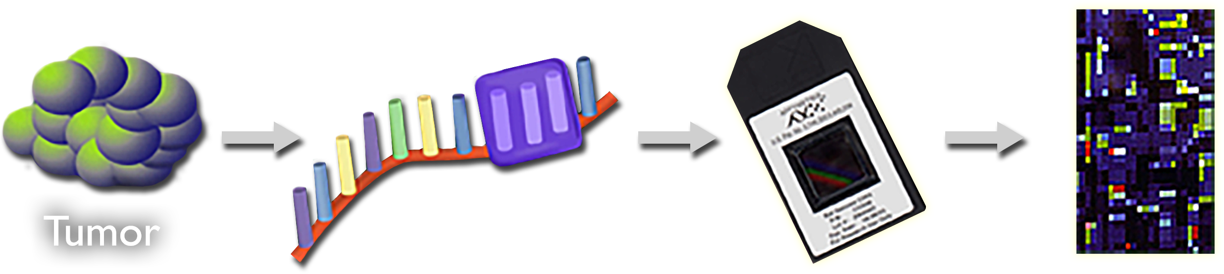 An illustration of a tumor with an arrow pointing to a piece of D-N-A with 3 nucleotides highlighted. To the right of the D-N-A is an arrow pointing to a microarray chip. To the right of the microarray chip is an arrow pointing to a microarray.