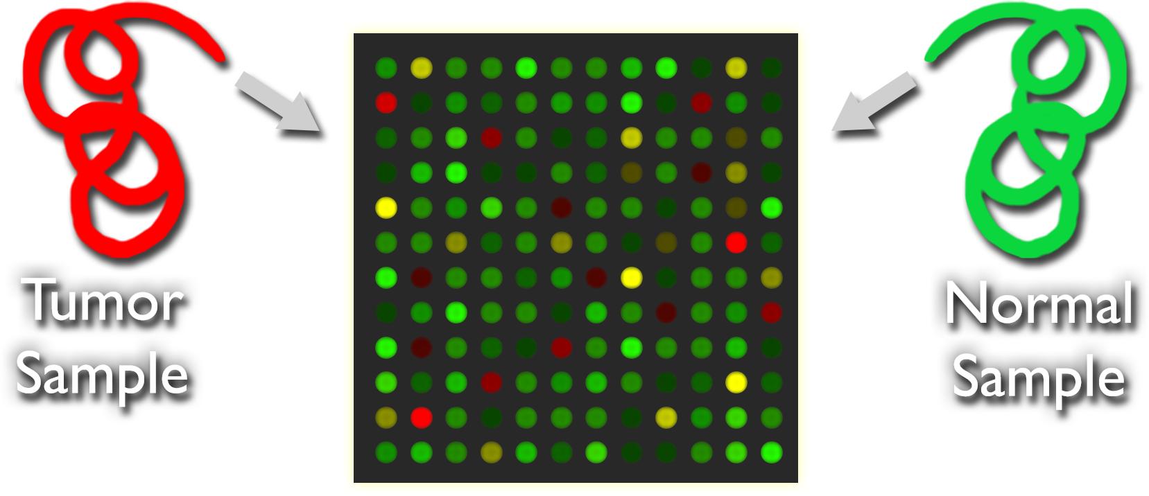 A microarray with spots in various shades of green, red, and yellow. A curly red strand labeled Tumor Sample on one side and a curly green strand labeled Normal Sample on the other side.