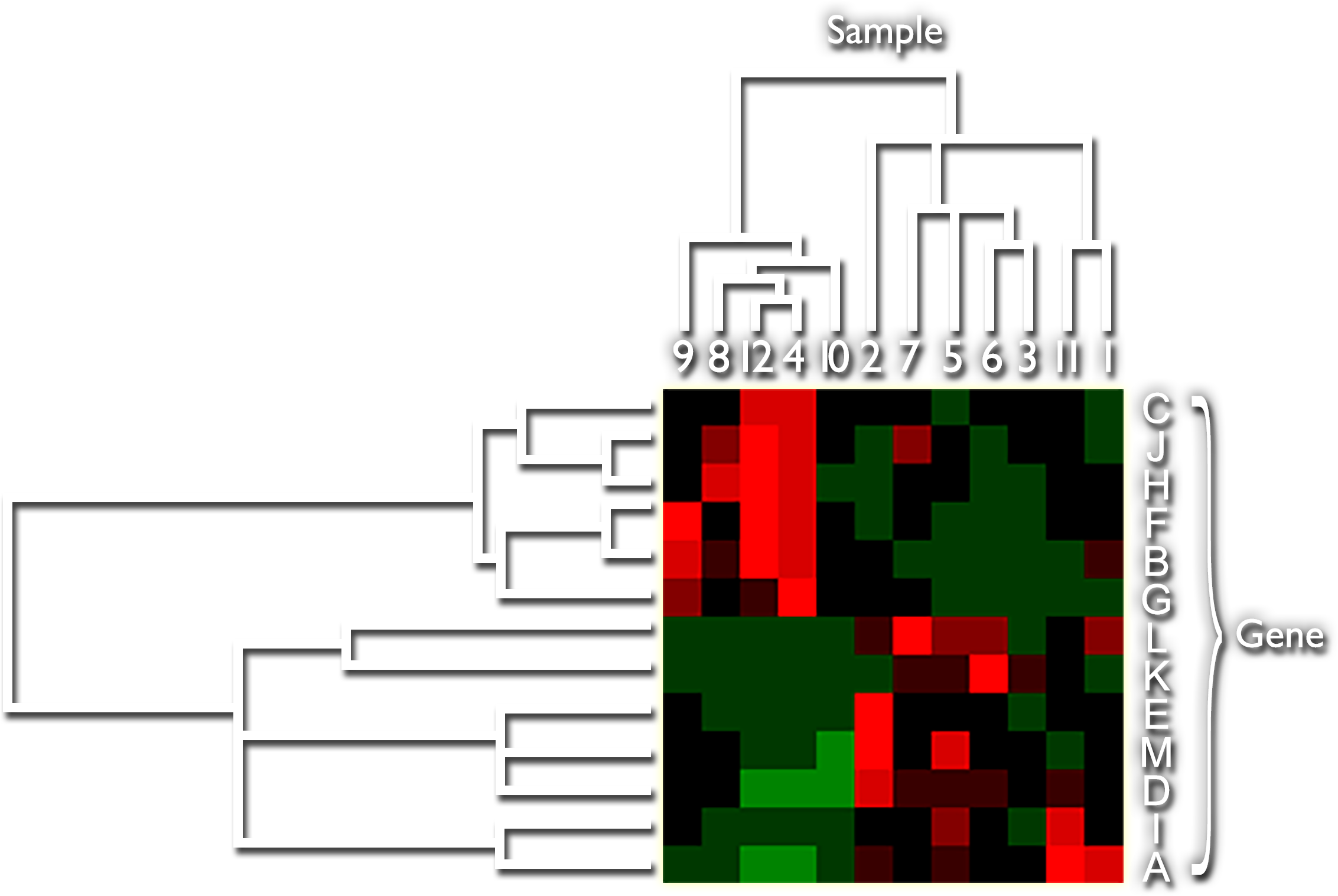 The same grid as the previous slide with the addition of a second dendrogram along the top edge labeled Sample with the columns numbered 9, 8, 12, 4, 10, 2, 7, 5, 6, 3, 11, 1. The dendrogram indicates relationships between Samples 9, 8, 12, 4, and 10 and between Samples 2, 7, 5, 6, 3, 11, and 1.