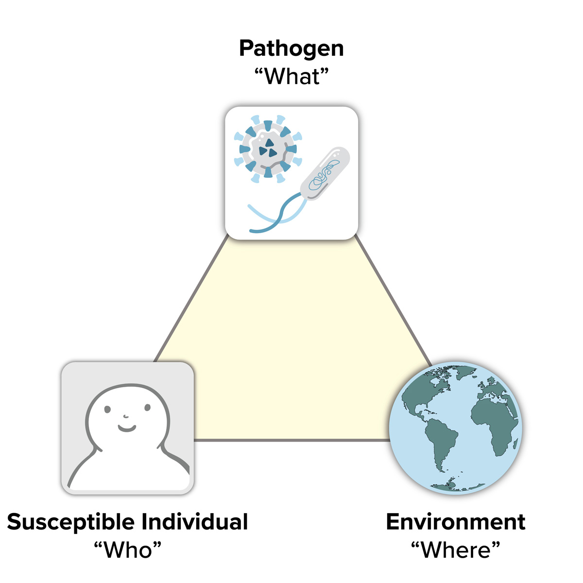 A triangle with the 3 points labeled as: a susceptible individual as "who", a pathogen as "what", and the environment as "where."