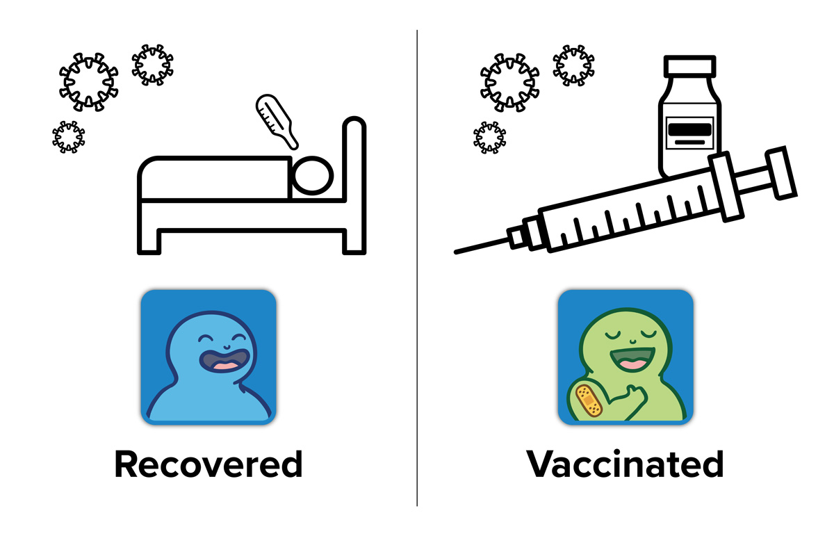 The icons for recovered and vaccinated individuals.