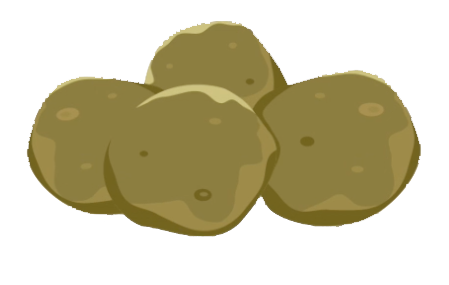 Four large, round, brownish dung samples with small inclusions in them are illustrated.