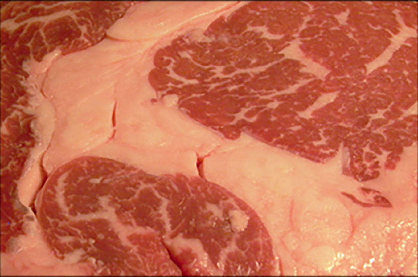 A cut of beef with streaks of fat throughout and large areas of solid fat.